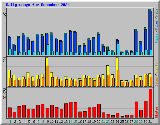 Daily usage for December 2024