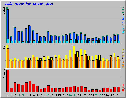 Daily usage for January 2025