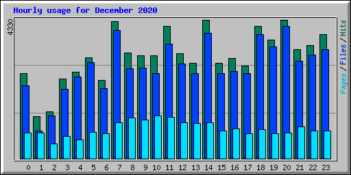 Hourly usage for December 2020