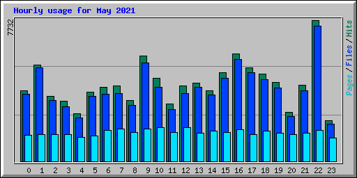 Hourly usage for May 2021