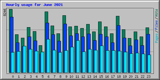 Hourly usage for June 2021