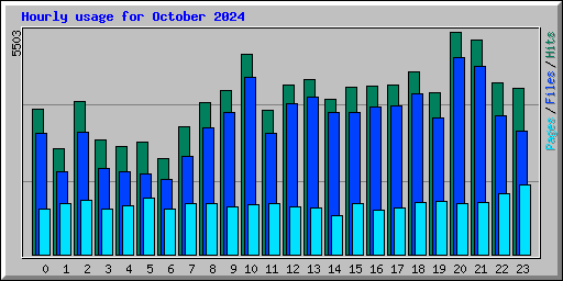 Hourly usage for October 2024