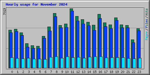 Hourly usage for November 2024