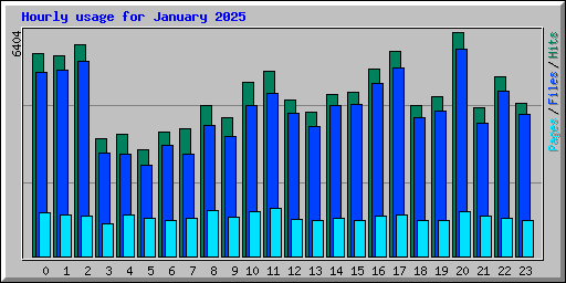 Hourly usage for January 2025