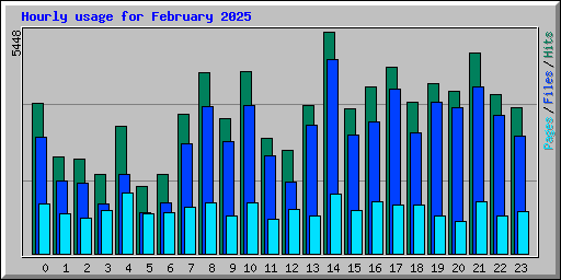 Hourly usage for February 2025