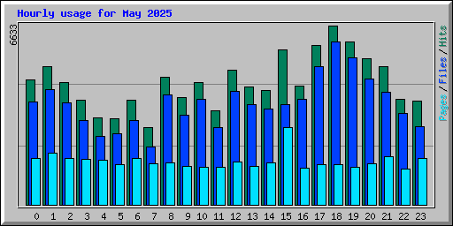 Hourly usage for May 2025