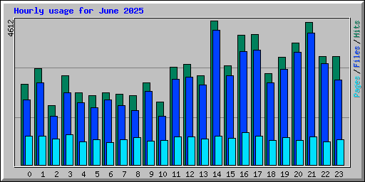 Hourly usage for June 2025
