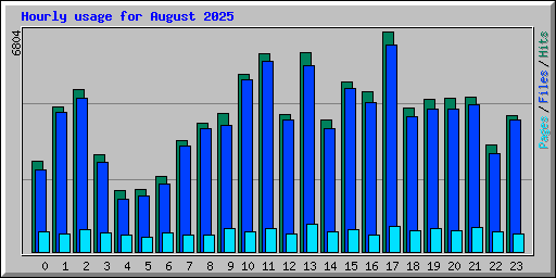 Hourly usage for August 2025
